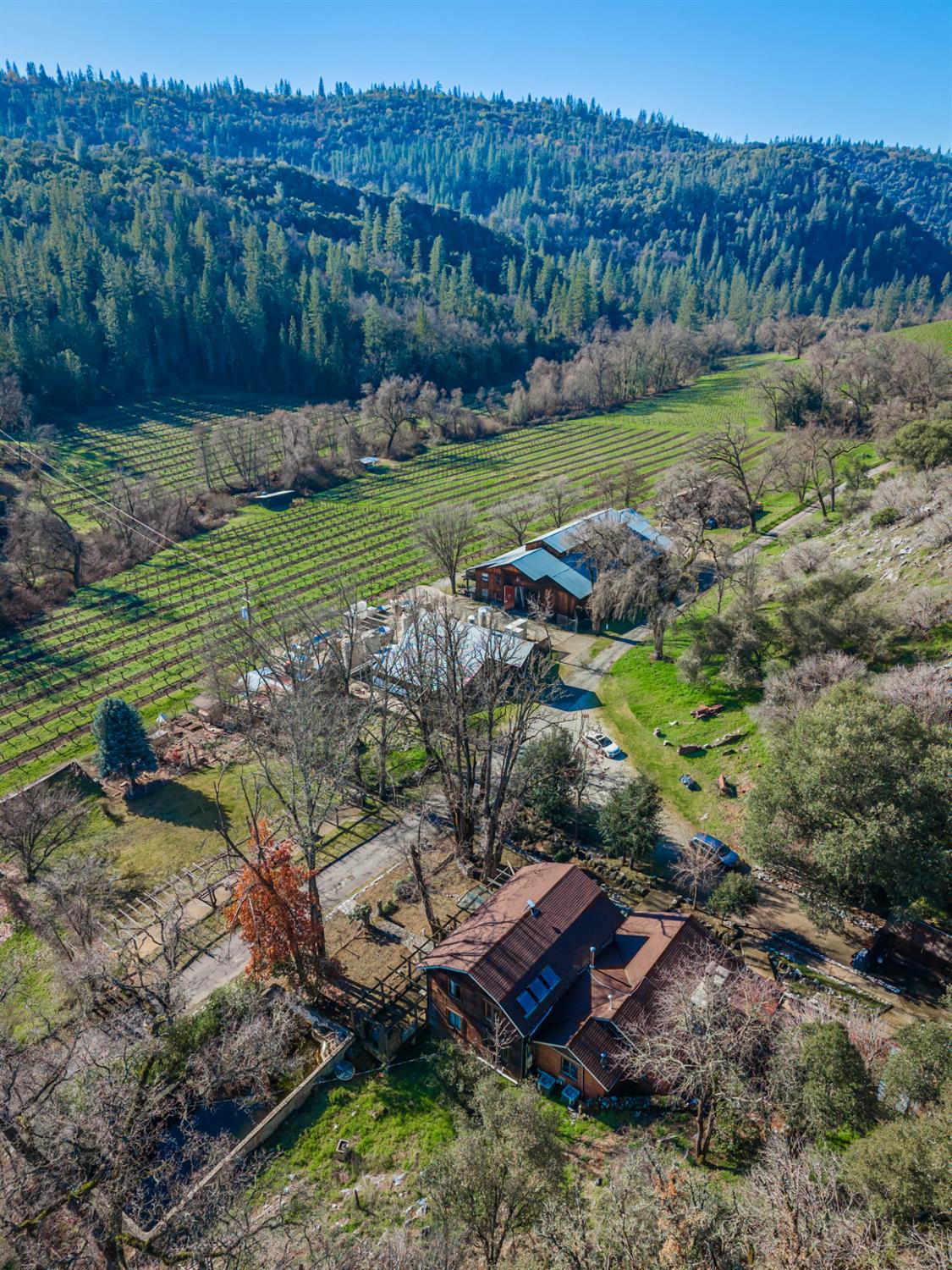Murphys CA 95247