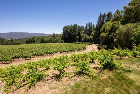 7596 Sonoma Mountain Road Glen Ellen CA 95442
