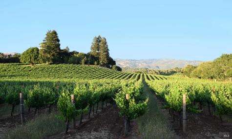 7596 Sonoma Mountain Road Glen Ellen CA 95442