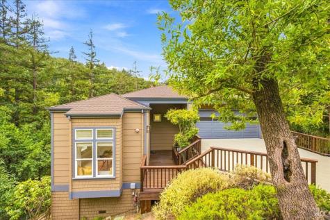 61 Terrace Avenue San Rafael CA 94901