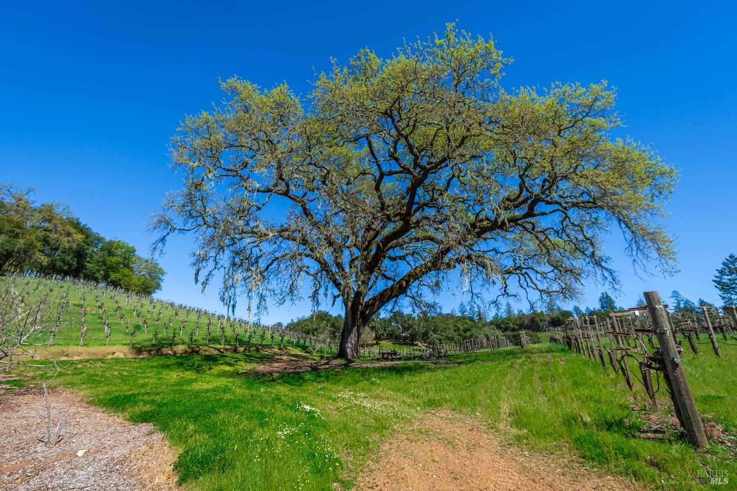 18345 Highway 128 Calistoga CA 94515
