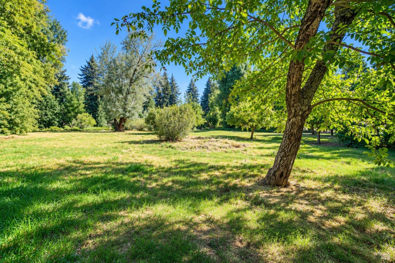 15861 River Road Guerneville CA 95446