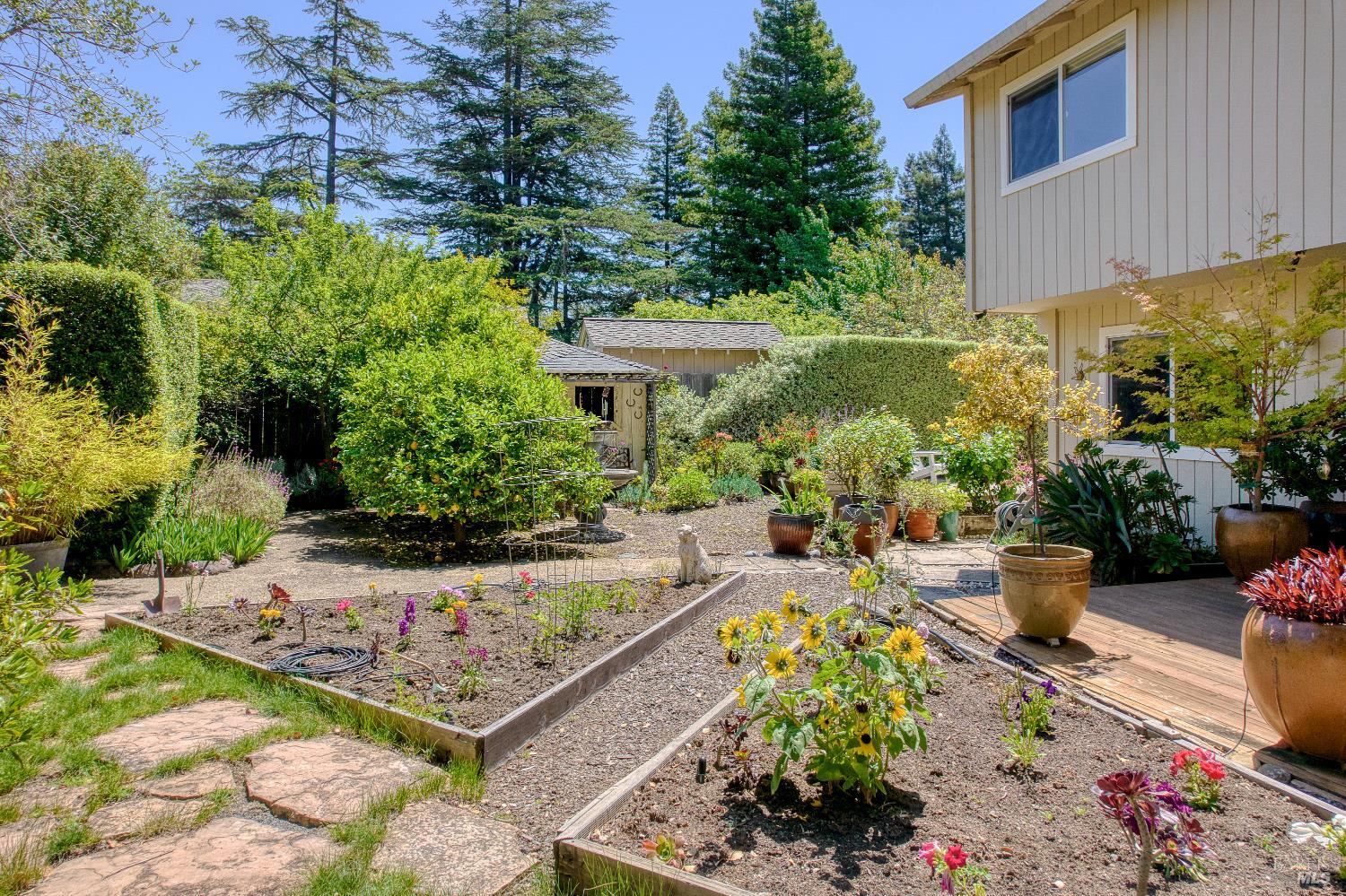 56 Santa Ynez Circle Novato CA 94947