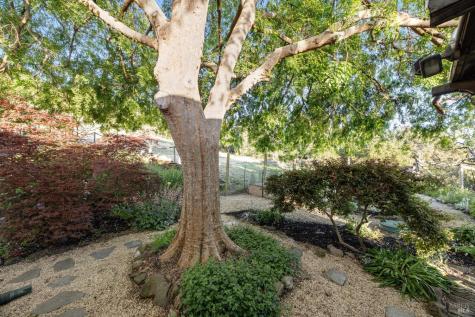 6960 Round Oak Road Penngrove CA 94951