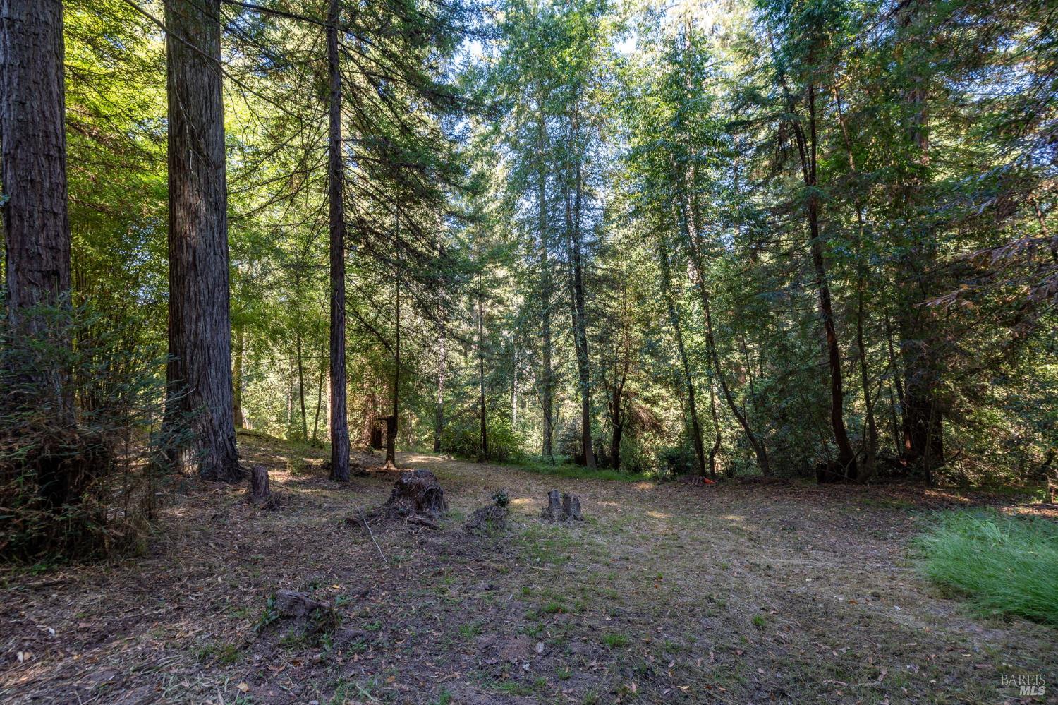 2132 Green Hill Road Sebastopol CA 95472