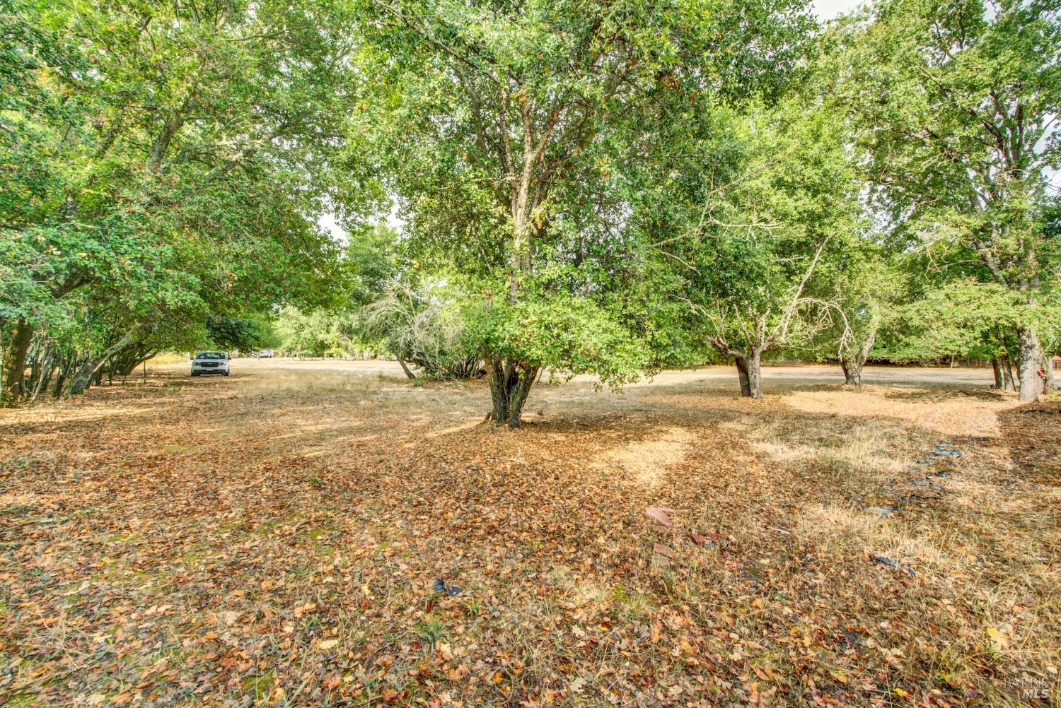 677-A Petaluma Avenue Sonoma CA 95476