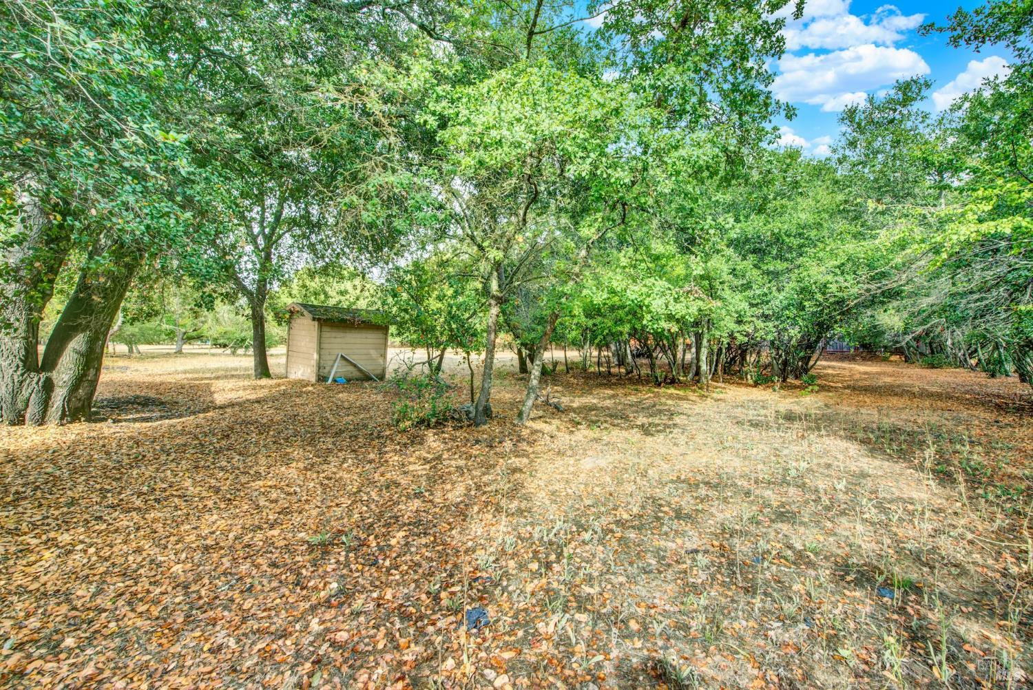 677-A Petaluma Avenue Sonoma CA 95476