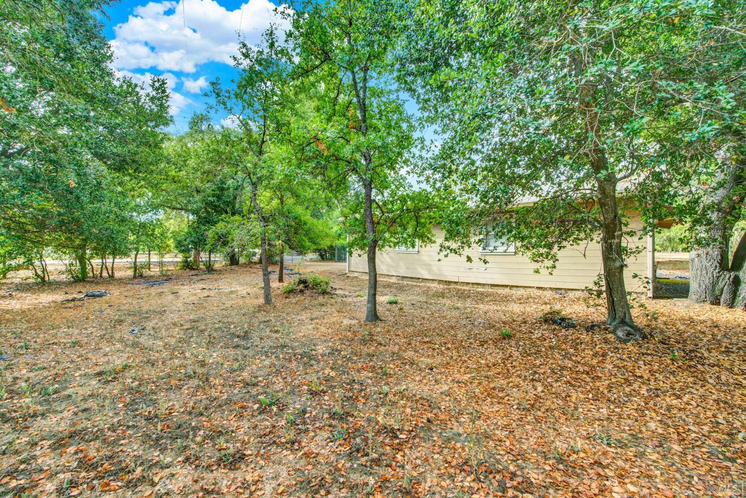 677-A Petaluma Avenue Sonoma CA 95476