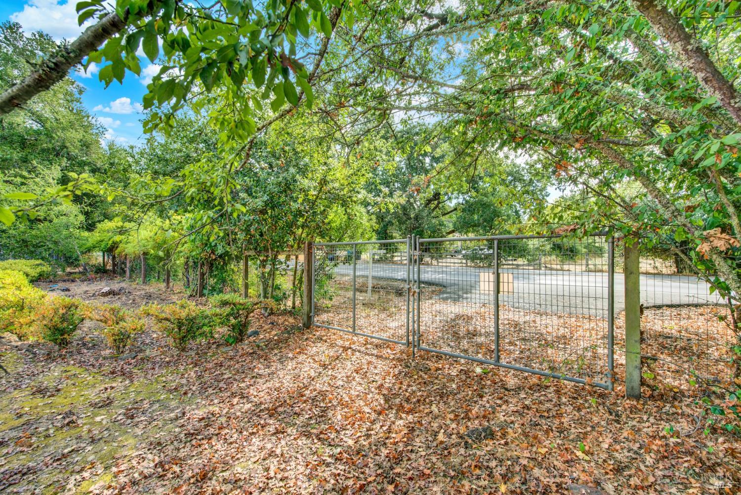 677-A Petaluma Avenue Sonoma CA 95476