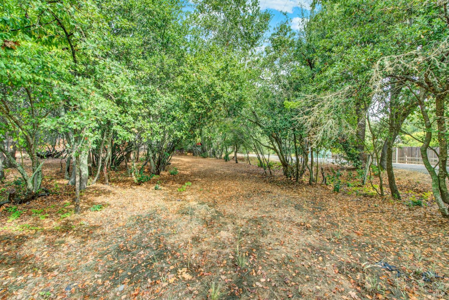 677-A Petaluma Avenue Sonoma CA 95476