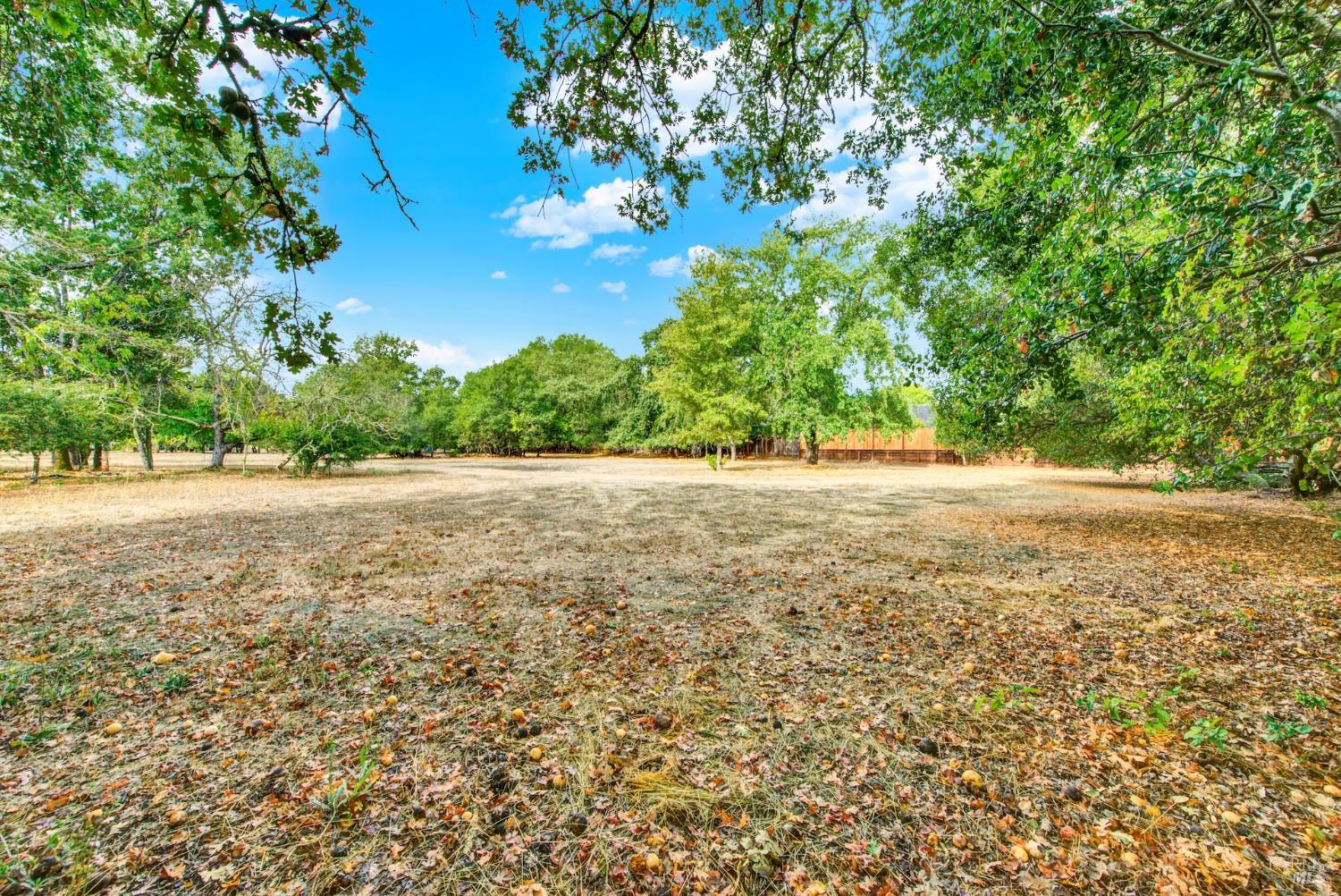 677-A Petaluma Avenue Sonoma CA 95476