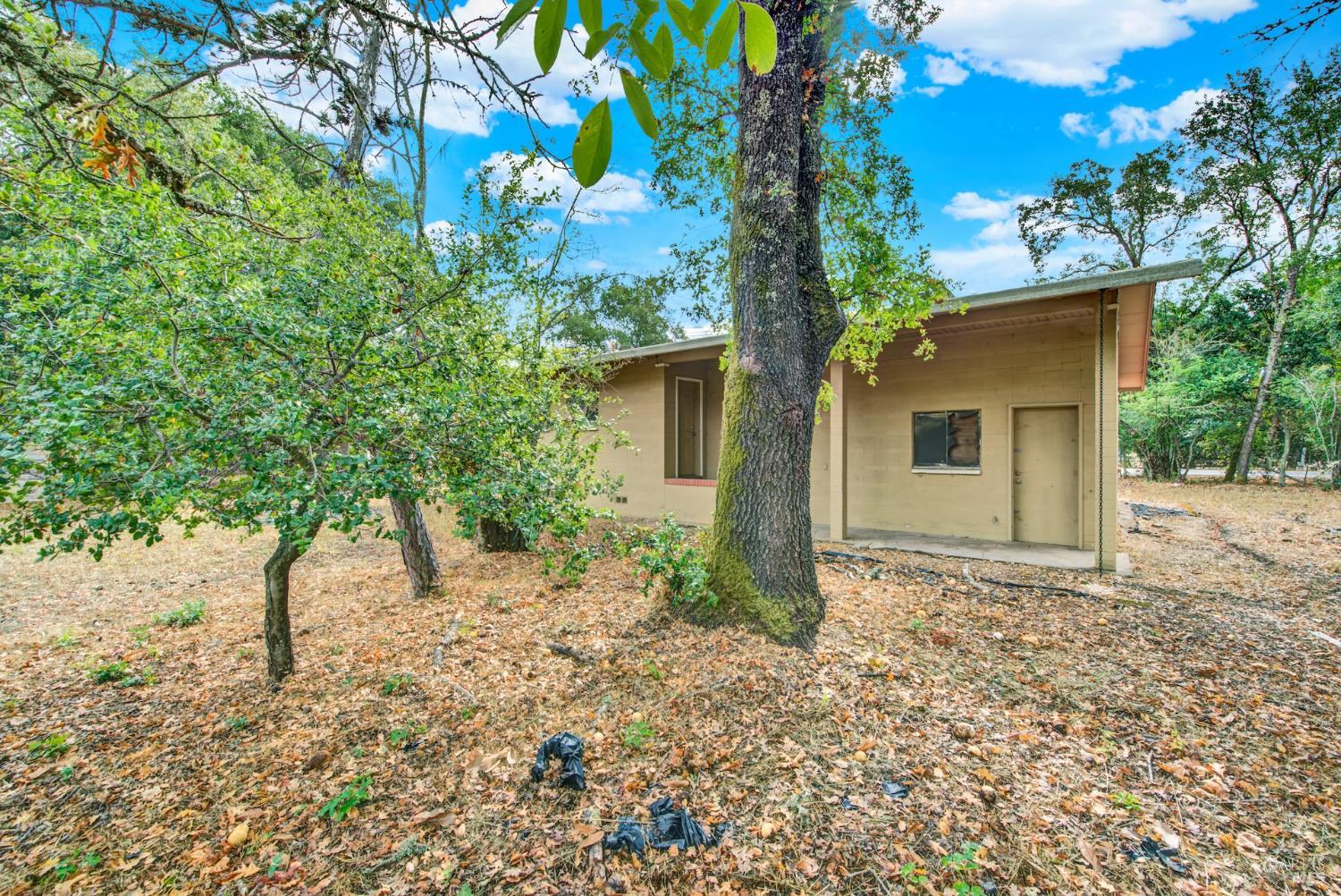 677-A Petaluma Avenue Sonoma CA 95476