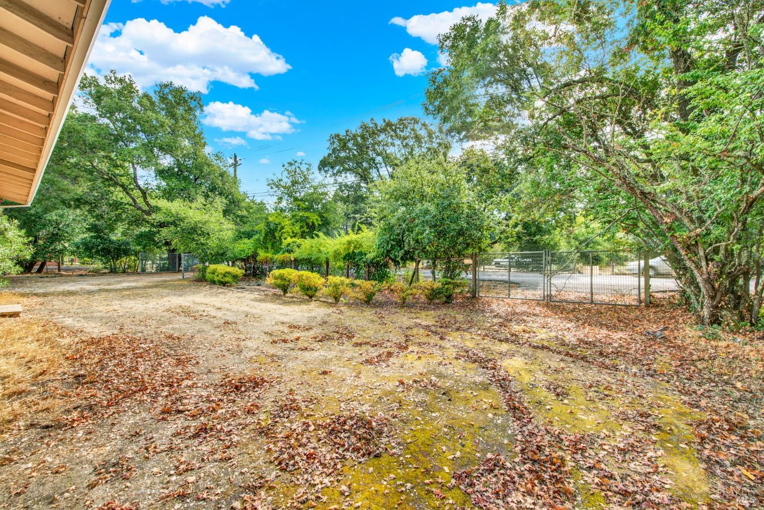 677-A Petaluma Avenue Sonoma CA 95476