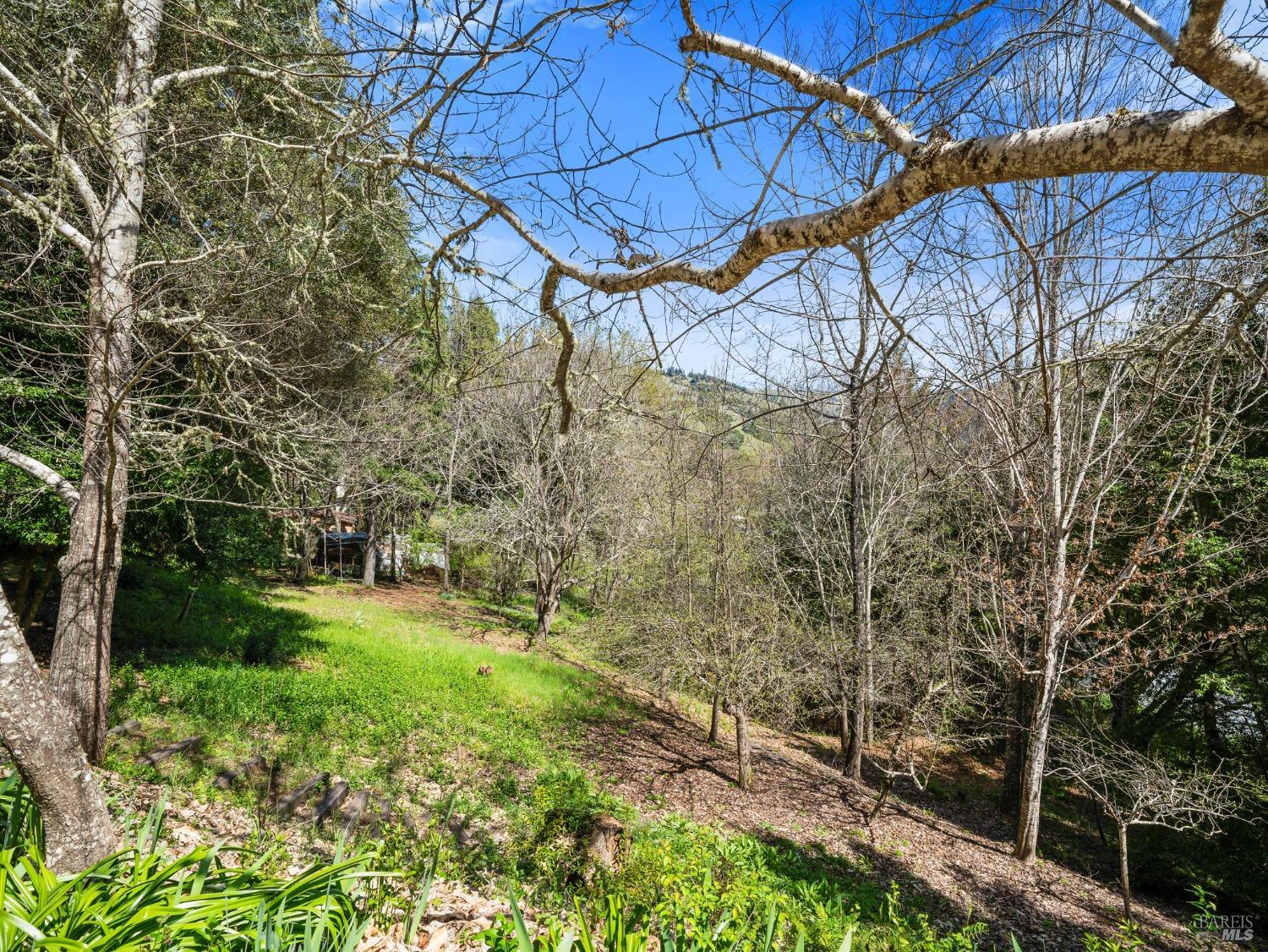8330 Highway 128 Highway Philo CA 95466