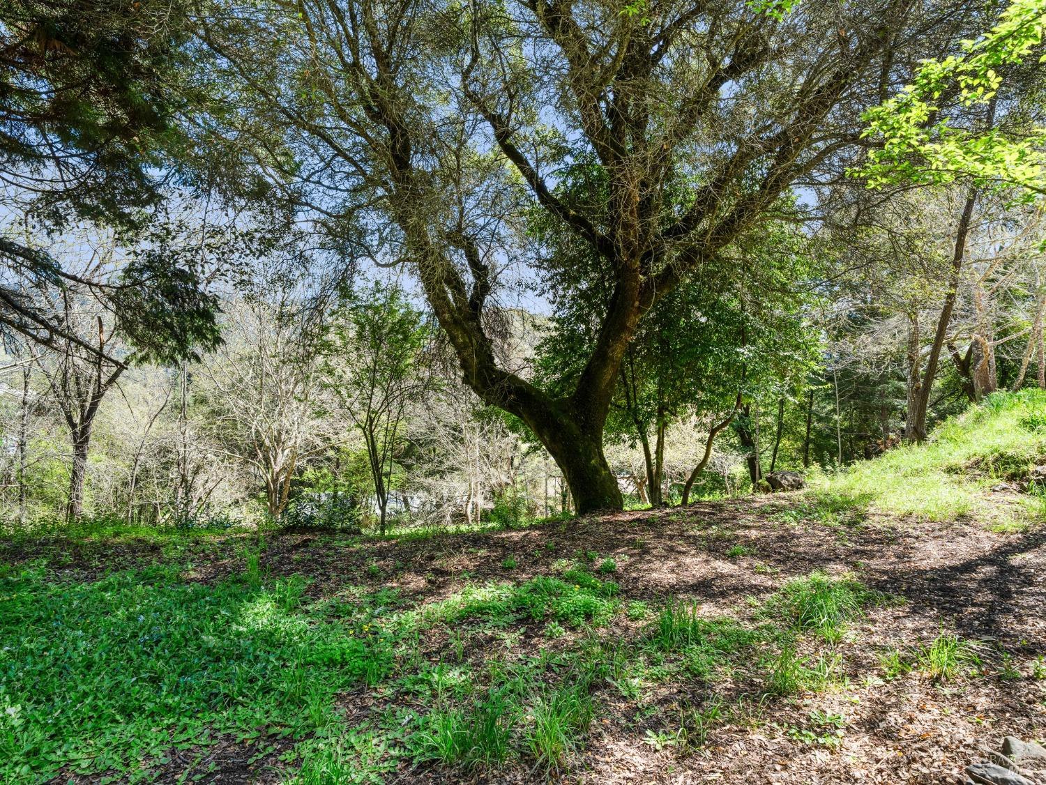 8330 Highway 128 Highway Philo CA 95466
