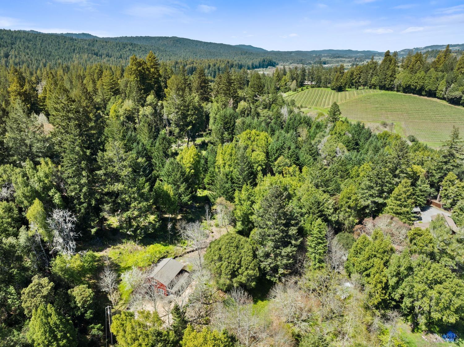 8330 Highway 128 Highway Philo CA 95466