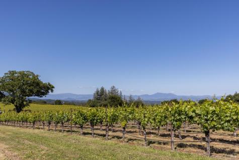 14640 Morelli Lane Sebastopol CA 95472