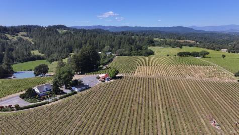 14640 Morelli Lane Sebastopol CA 95472