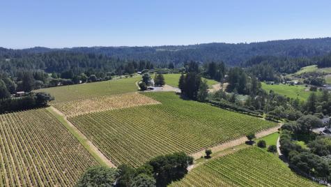 14640 Morelli Lane Sebastopol CA 95472