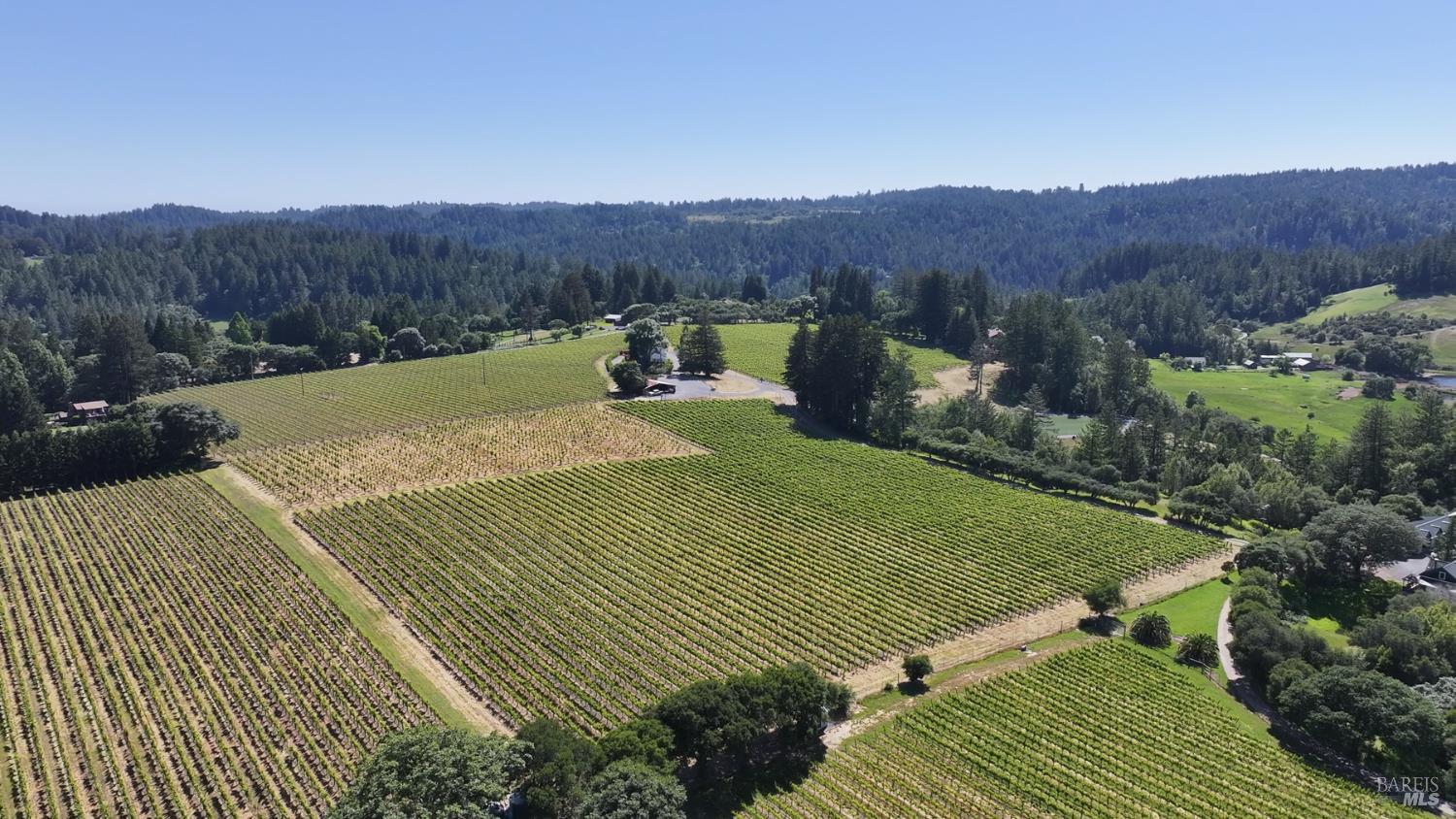 14640 Morelli Lane Sebastopol CA 95472