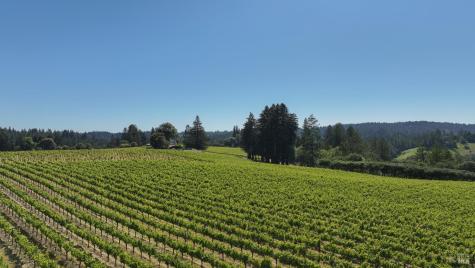 14640 Morelli Lane Sebastopol CA 95472