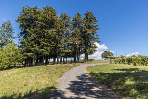 14640 Morelli Lane Sebastopol CA 95472