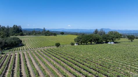 14640 Morelli Lane Sebastopol CA 95472