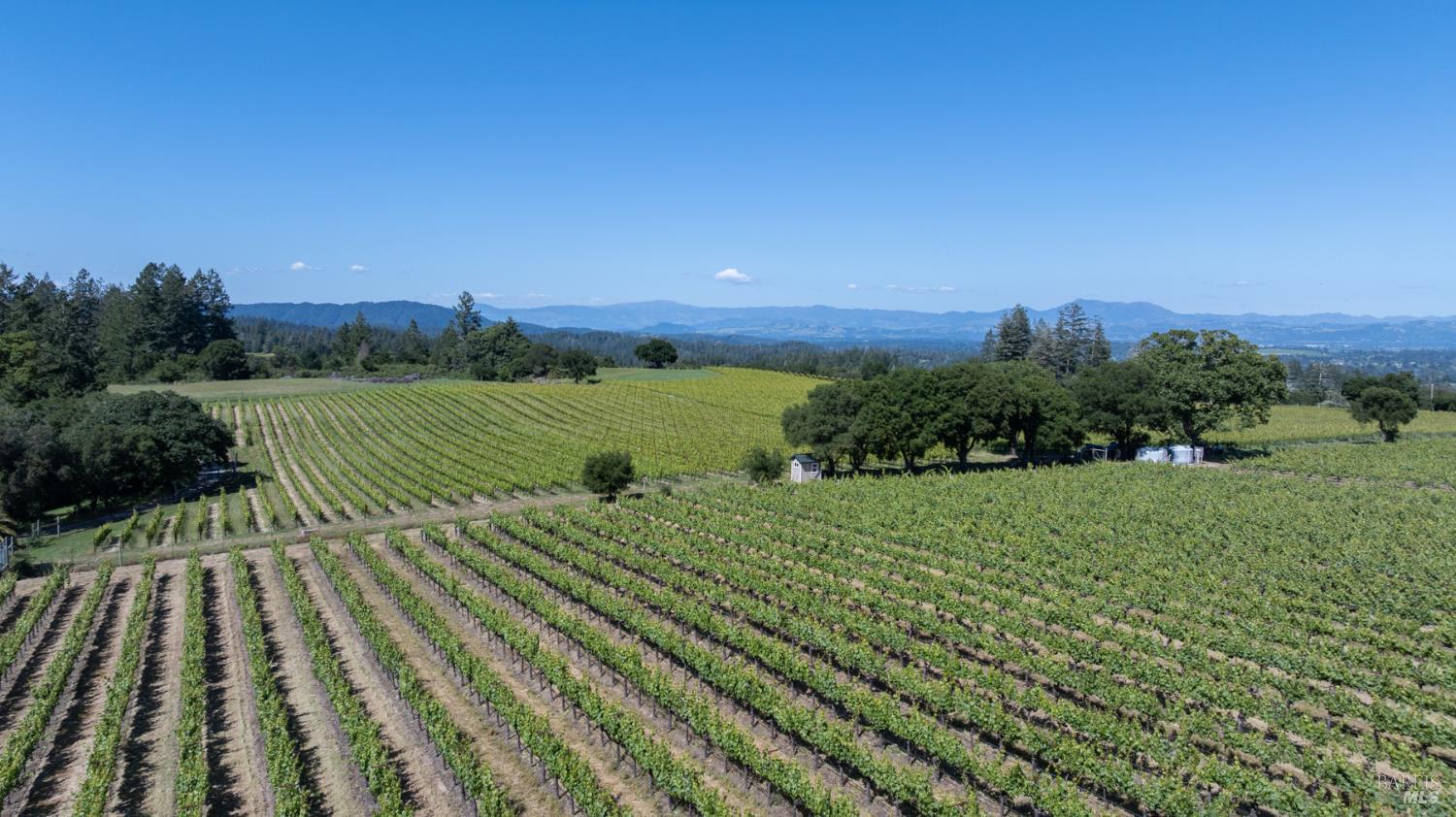 14640 Morelli Lane Sebastopol CA 95472