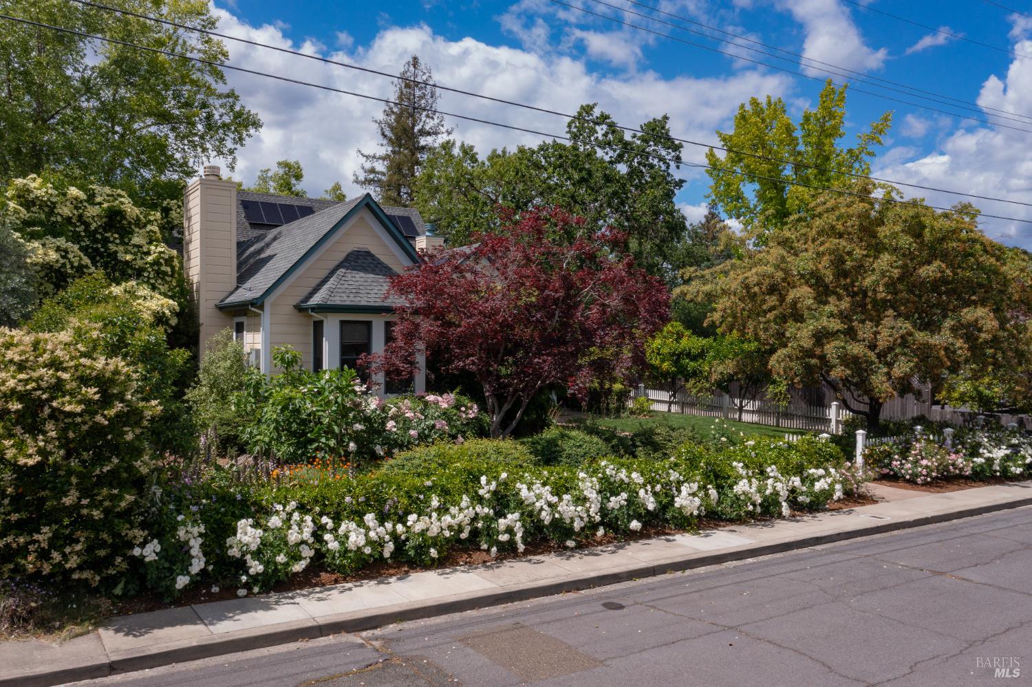 1330 Pine Street St. Helena CA 94574