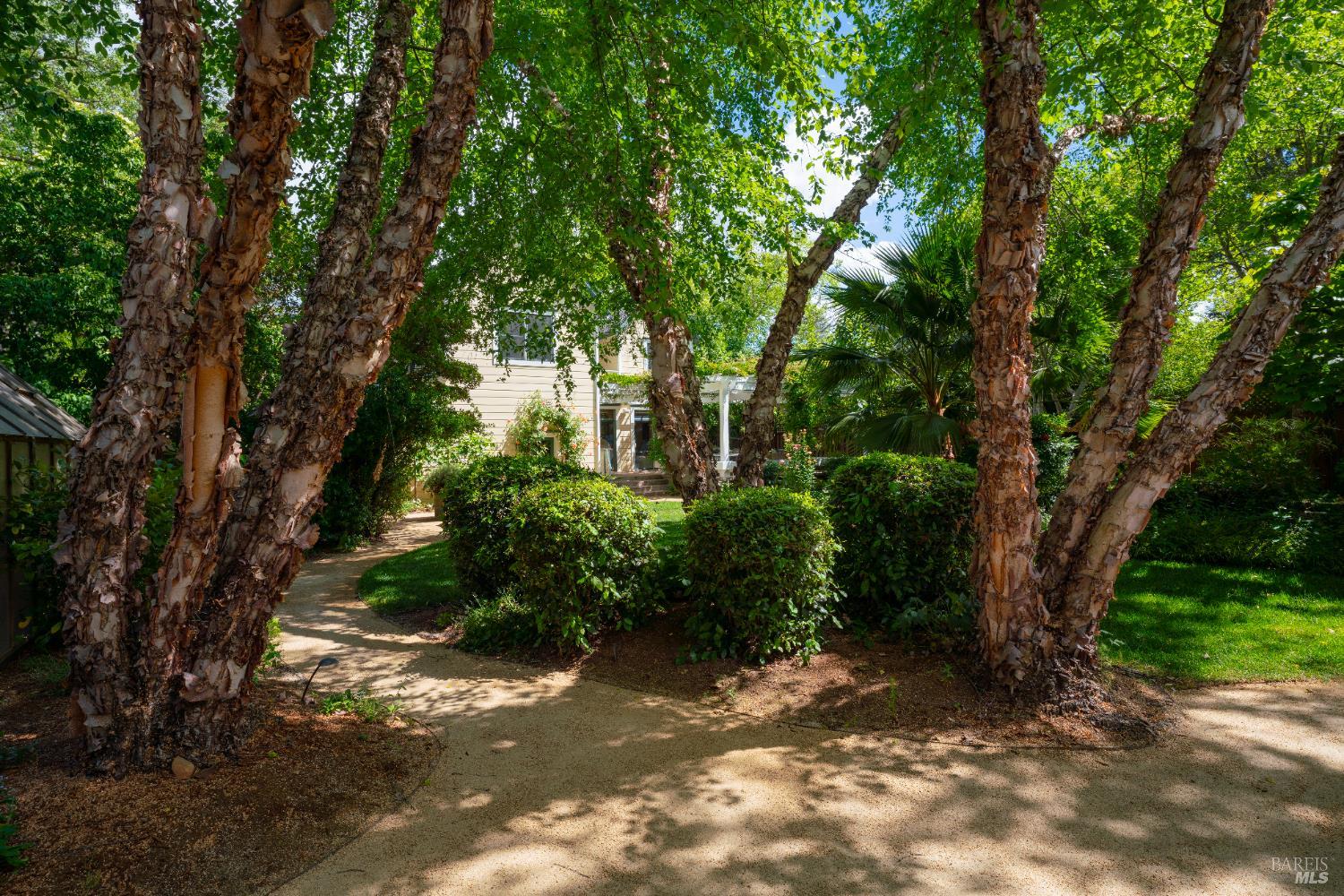 1330 Pine Street St. Helena CA 94574