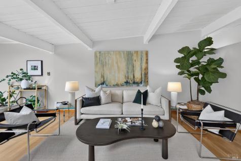 678 Appleberry Drive San Rafael CA 94903