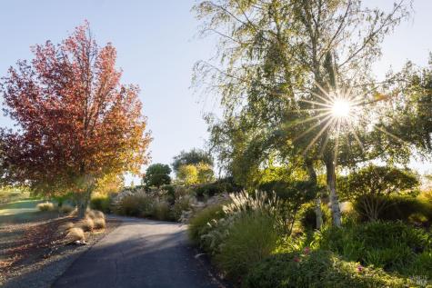 295 Sonoma Ridge Road Santa Rosa CA 95404