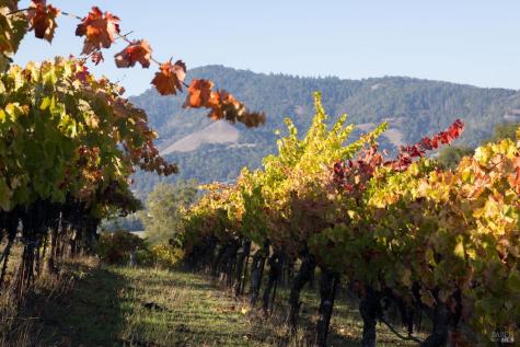 295 Sonoma Ridge Road Santa Rosa CA 95404