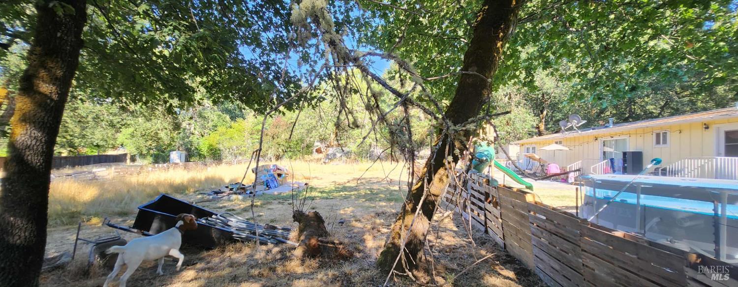 1700 E Hill Road Willits CA 95490