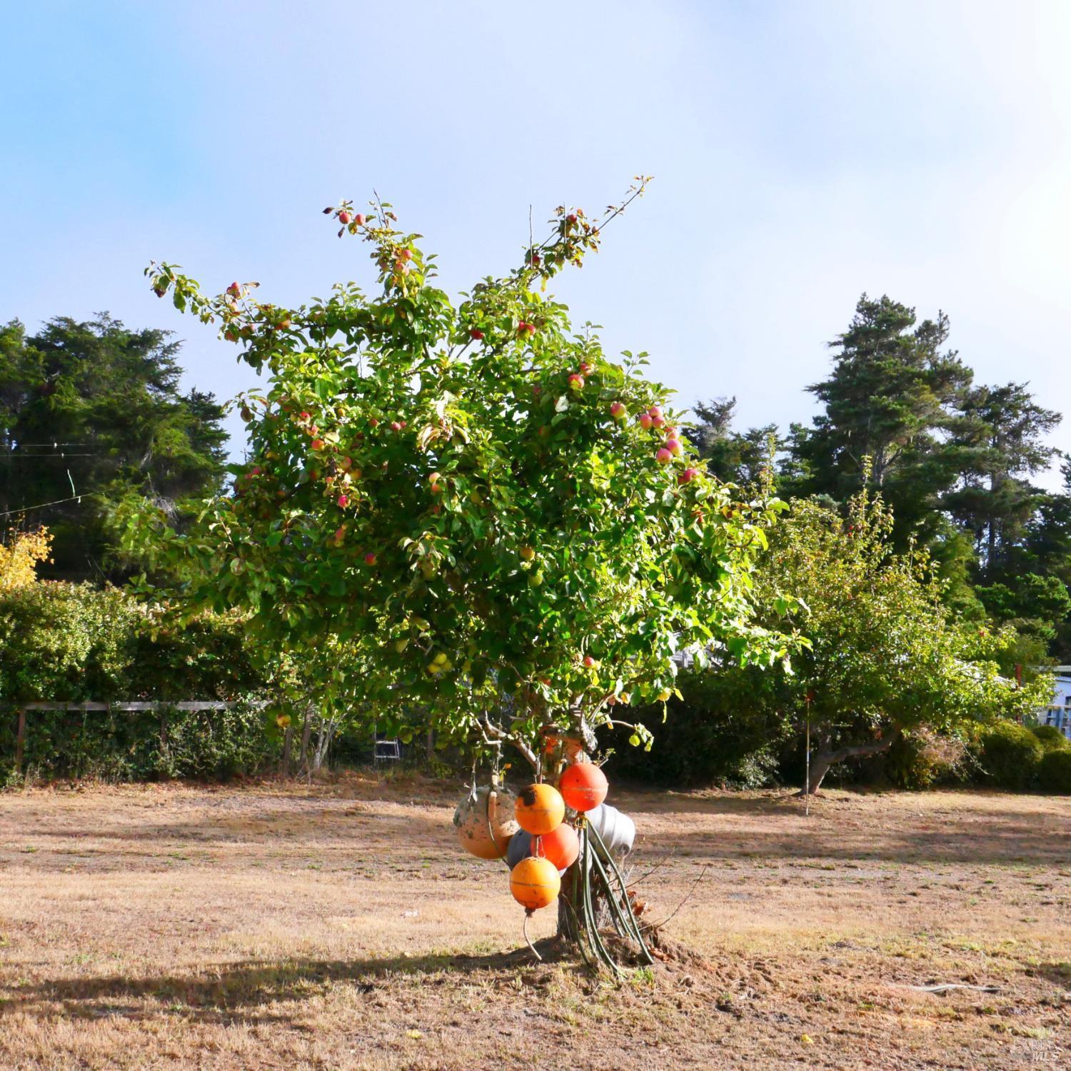 19231 Summers Lane Fort Bragg CA 95437