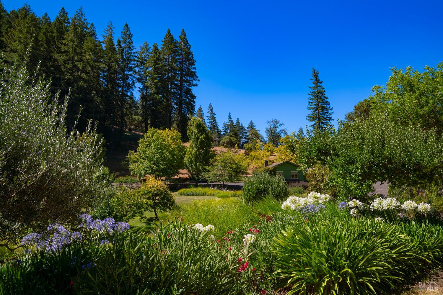 20205 Tumbling Mcd Road Philo CA 95466
