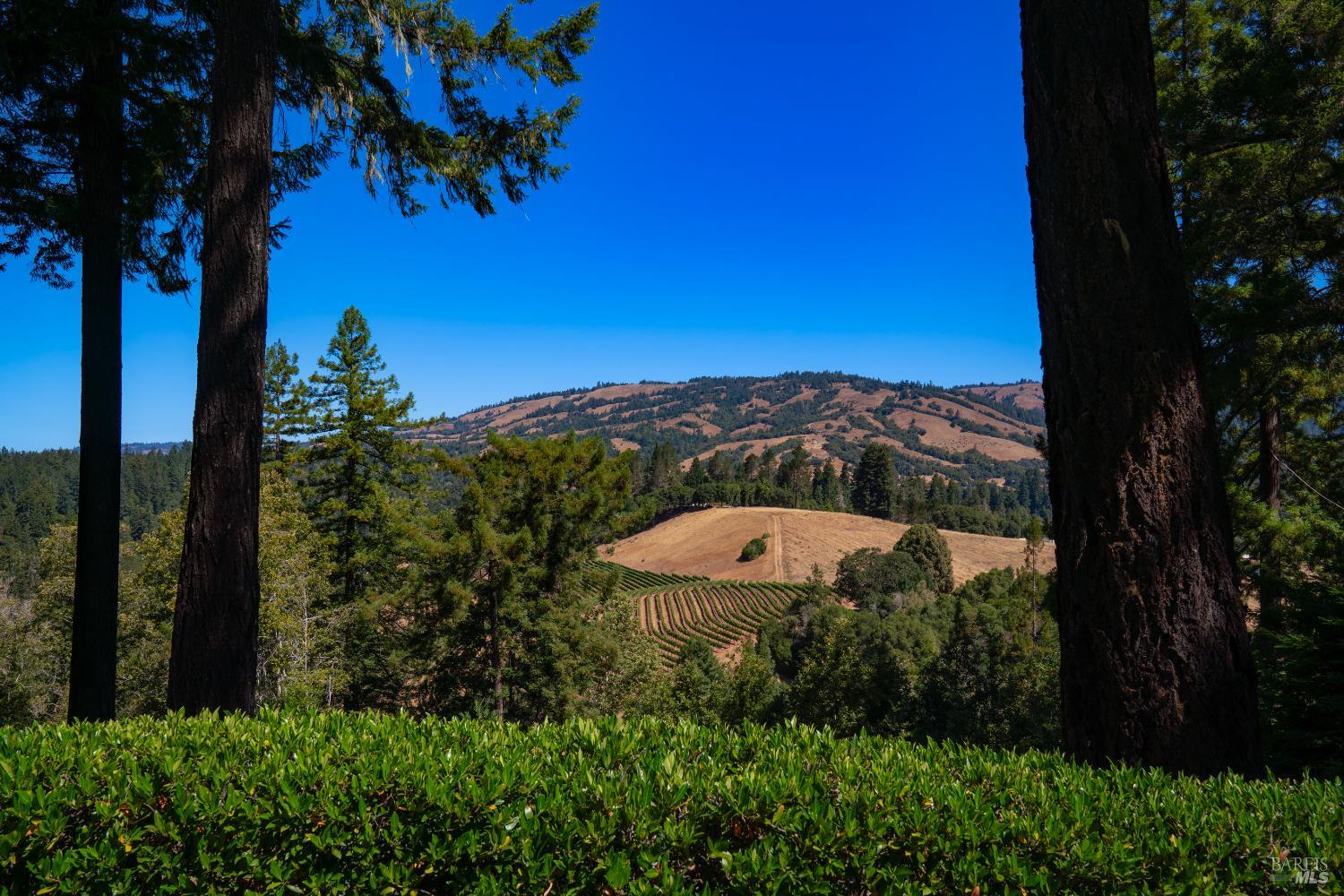 20205 Tumbling Mcd Road Philo CA 95466