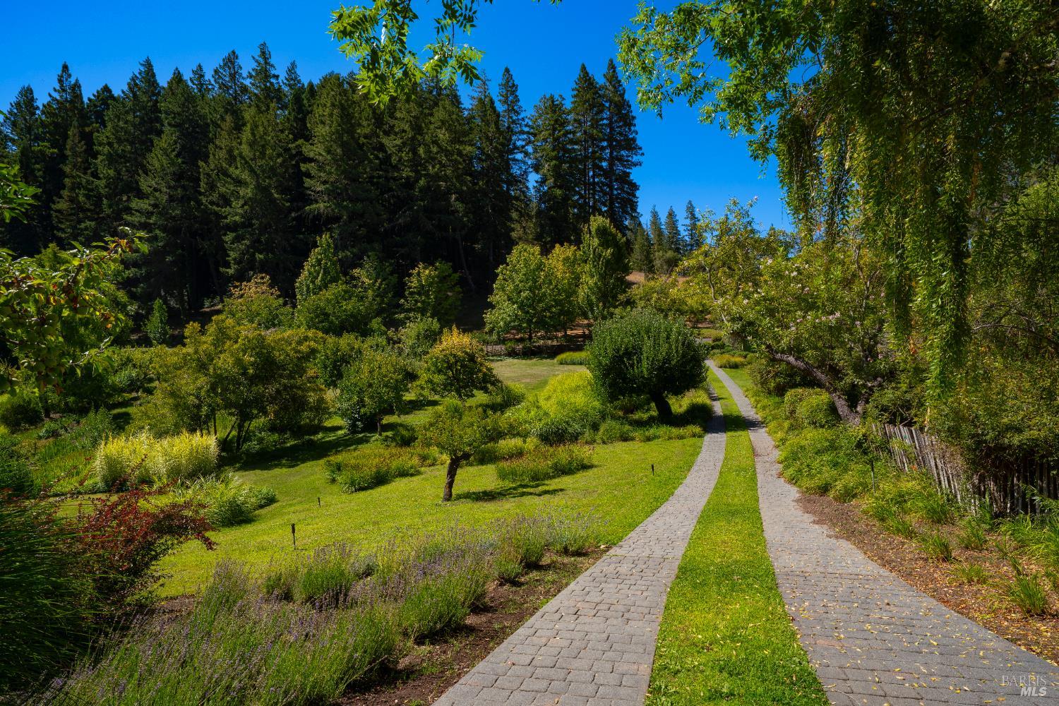 20205 Tumbling Mcd Road Philo CA 95466