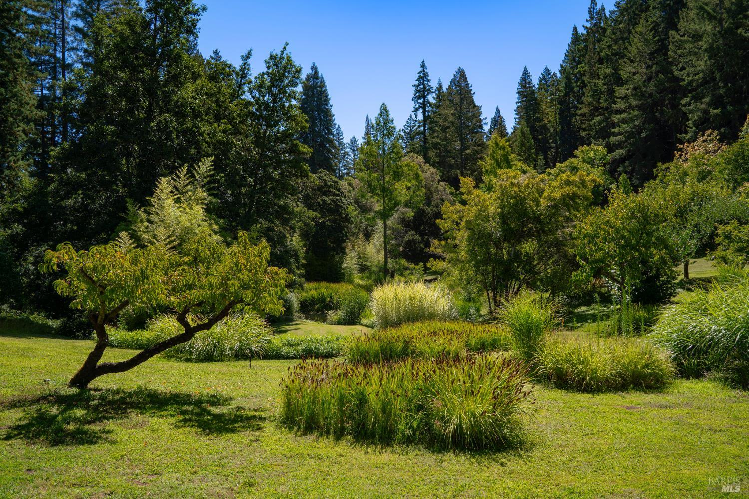 20205 Tumbling Mcd Road Philo CA 95466