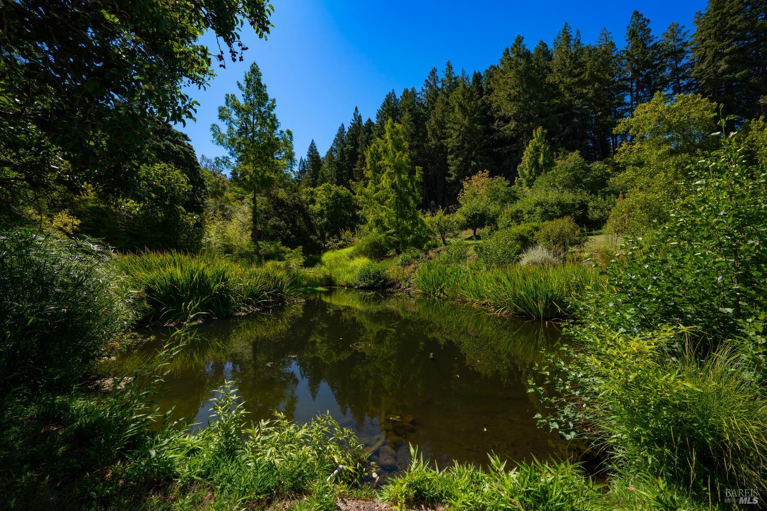 20205 Tumbling Mcd Road Philo CA 95466