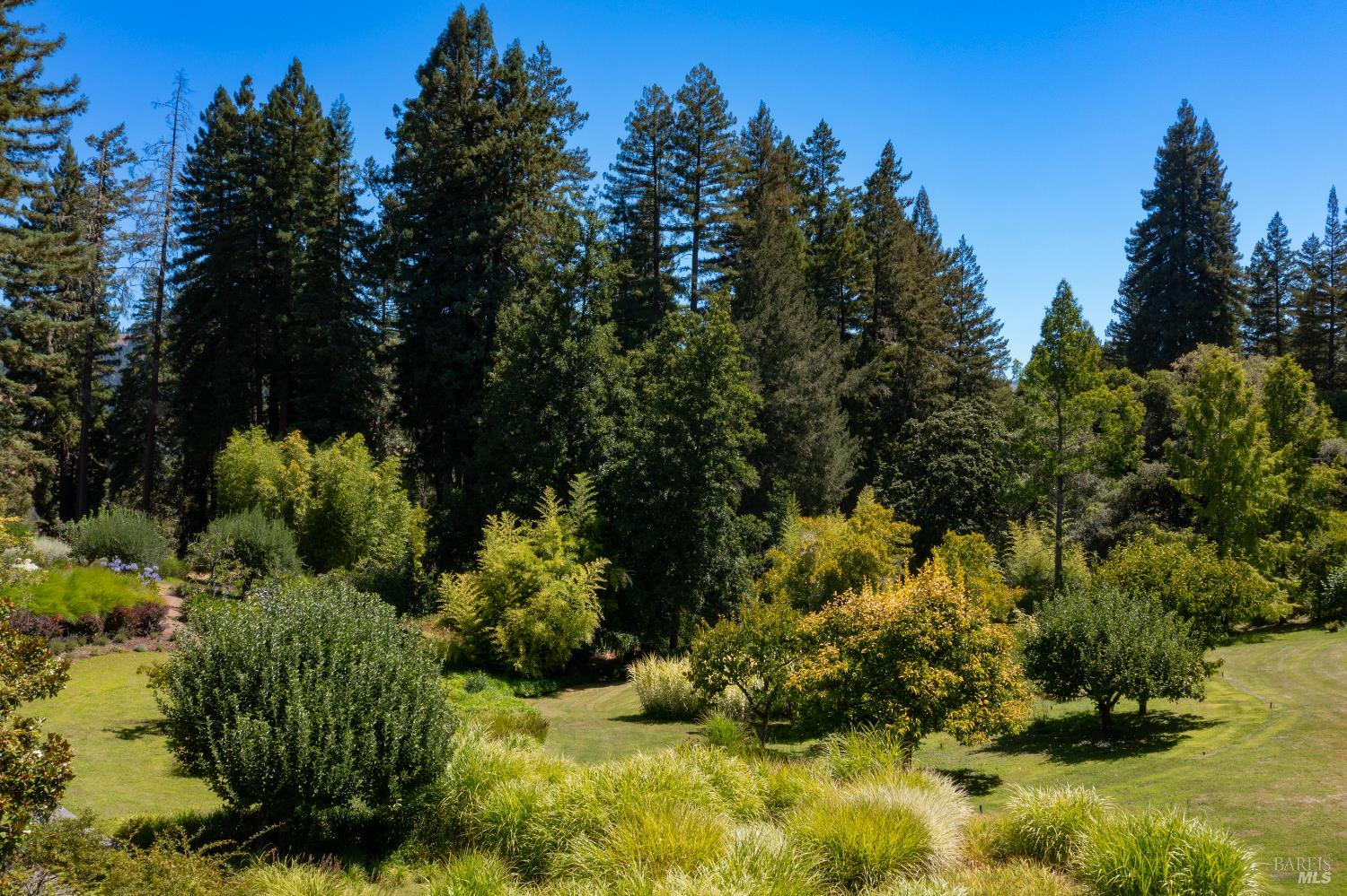 20205 Tumbling Mcd Road Philo CA 95466