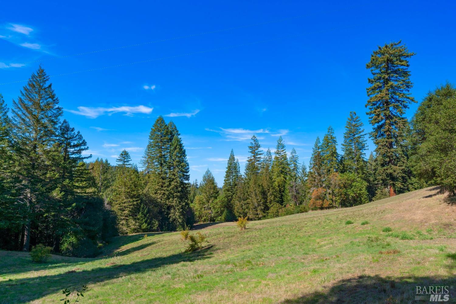20205 Tumbling Mcd Road Philo CA 95466