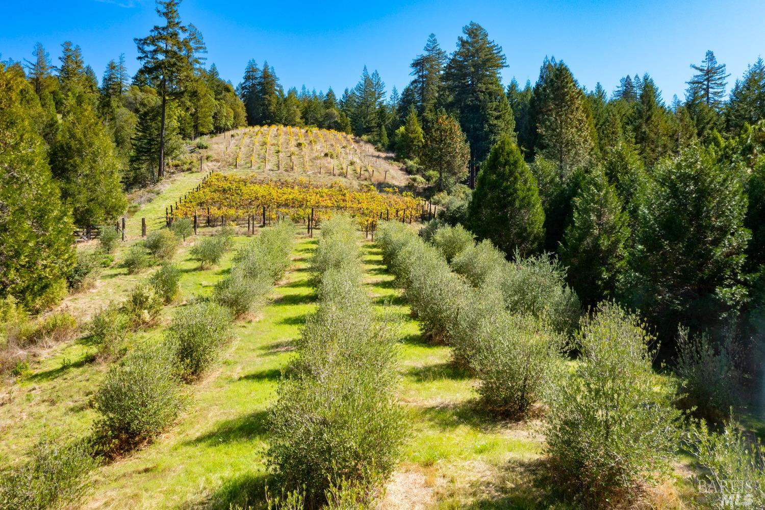 20205 Tumbling Mcd Road Philo CA 95466