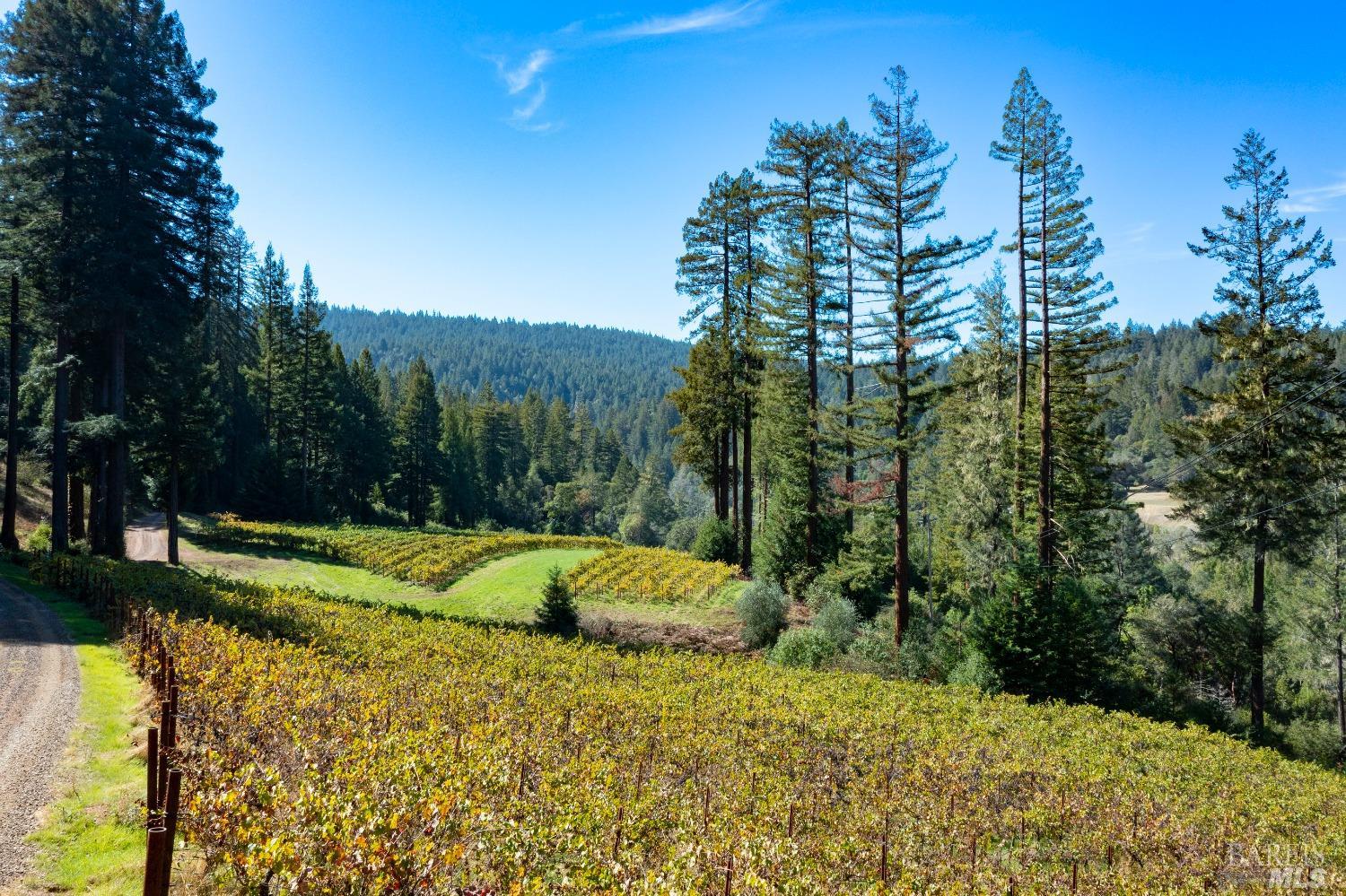 20205 Tumbling Mcd Road Philo CA 95466