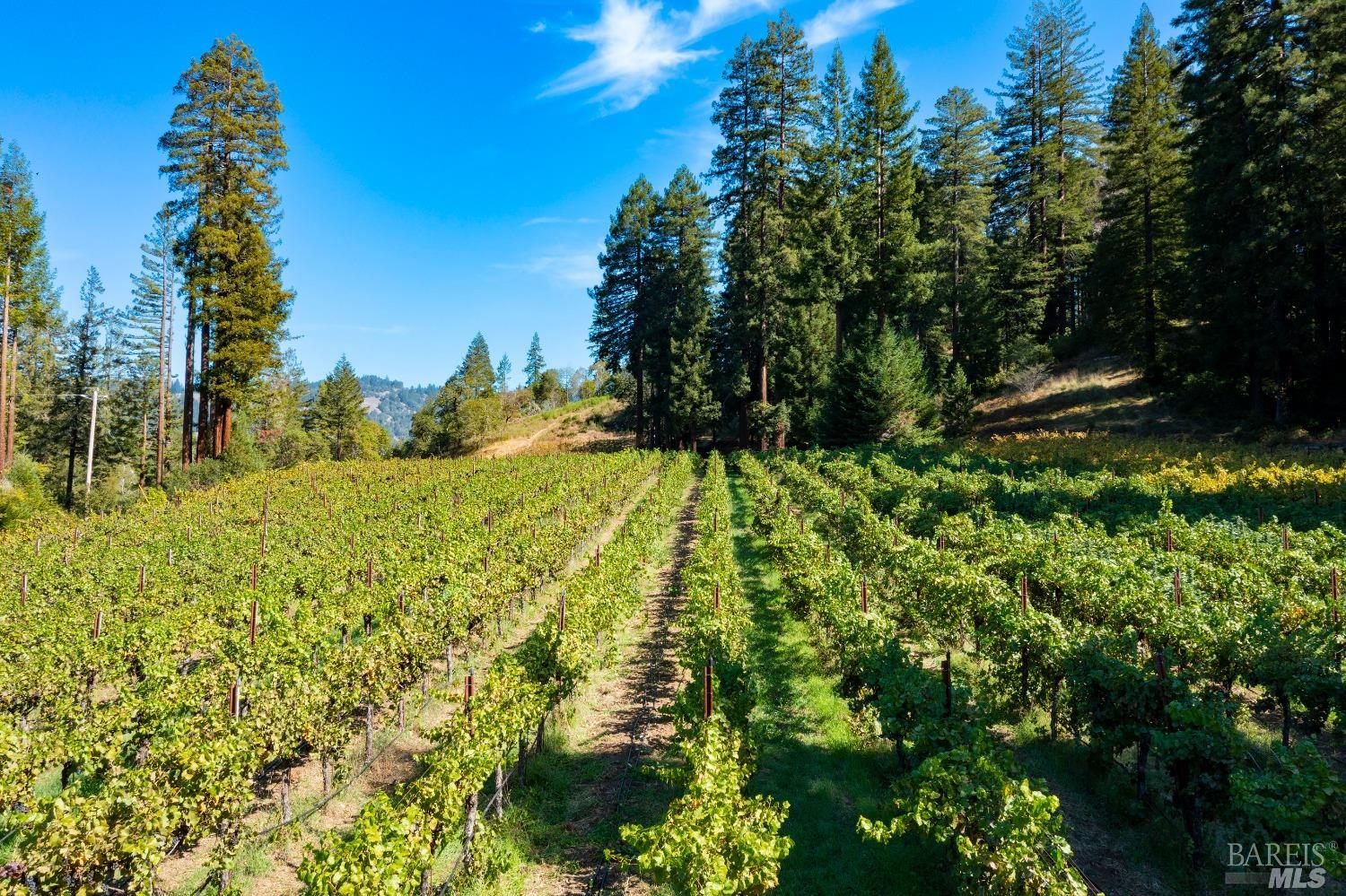 20205 Tumbling Mcd Road Philo CA 95466