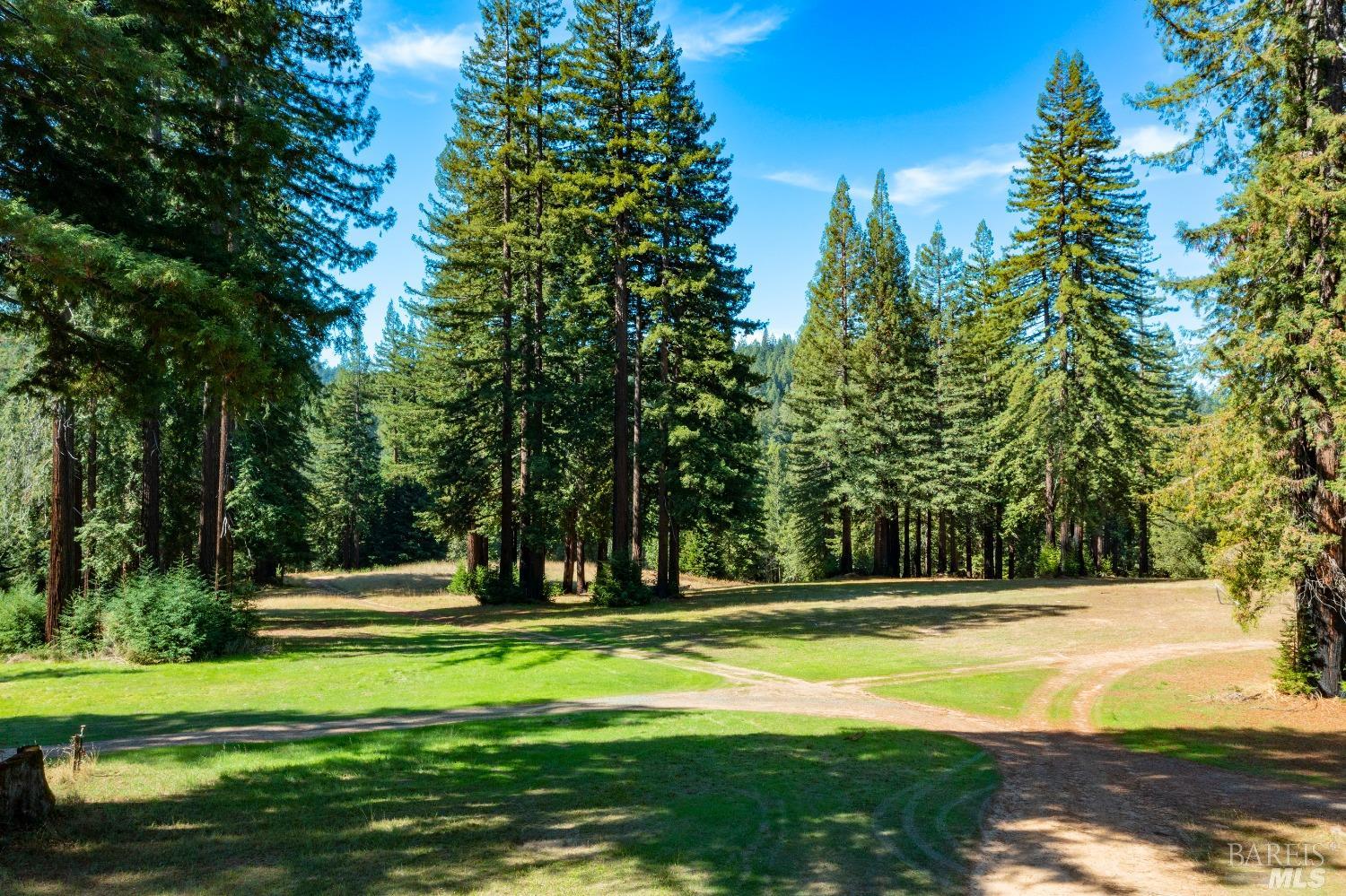 20205 Tumbling Mcd Road Philo CA 95466
