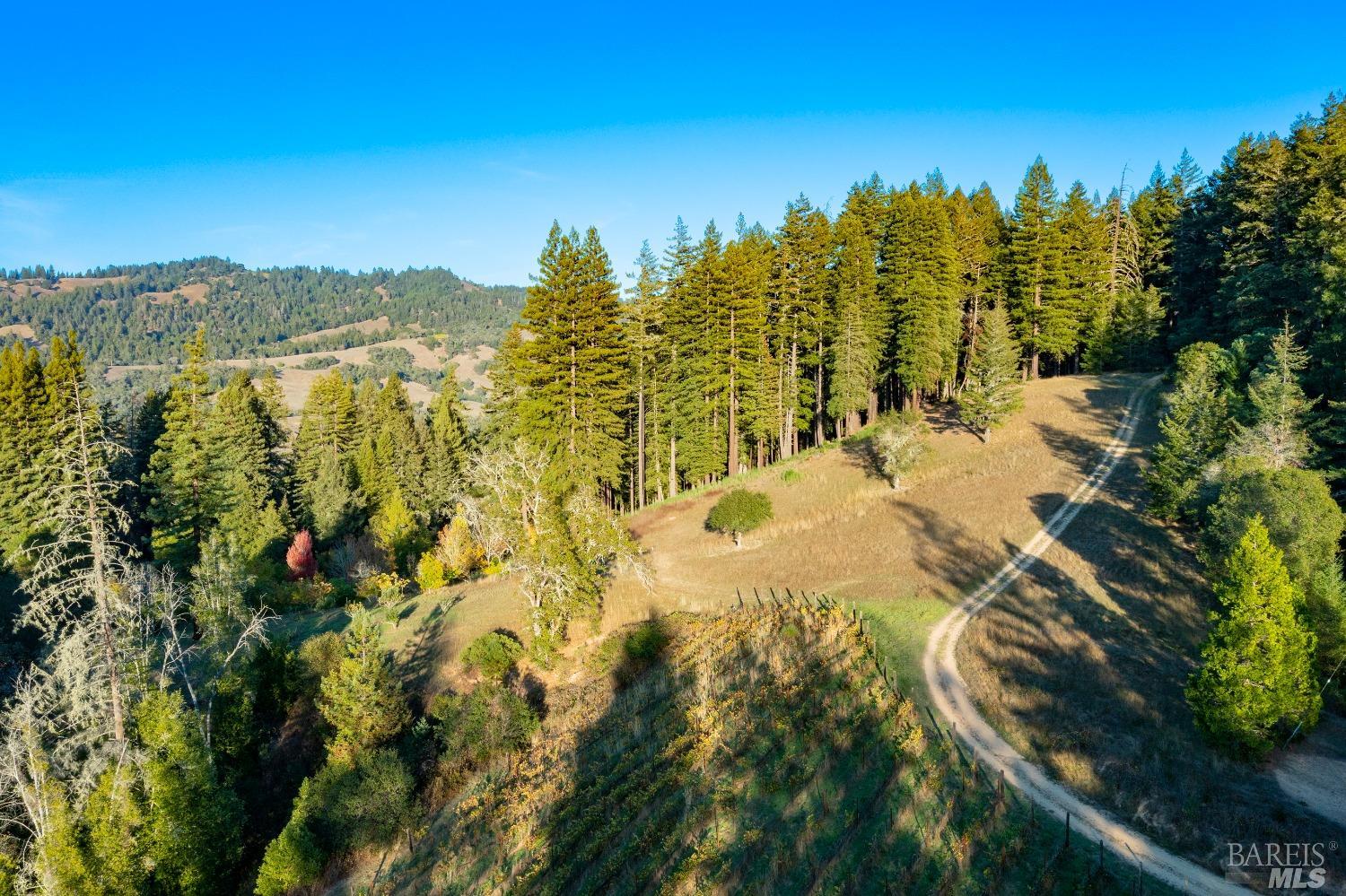 20205 Tumbling Mcd Road Philo CA 95466