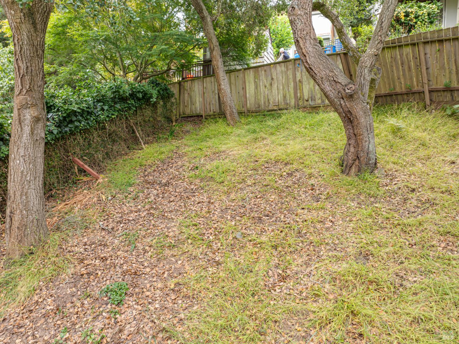 721 Cabin Drive Mill Valley CA 94941