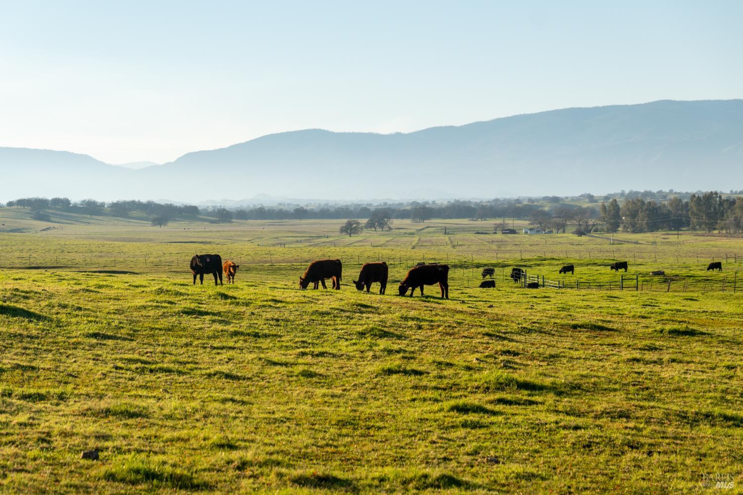 17775 Long Hollow Road Corning CA 96021