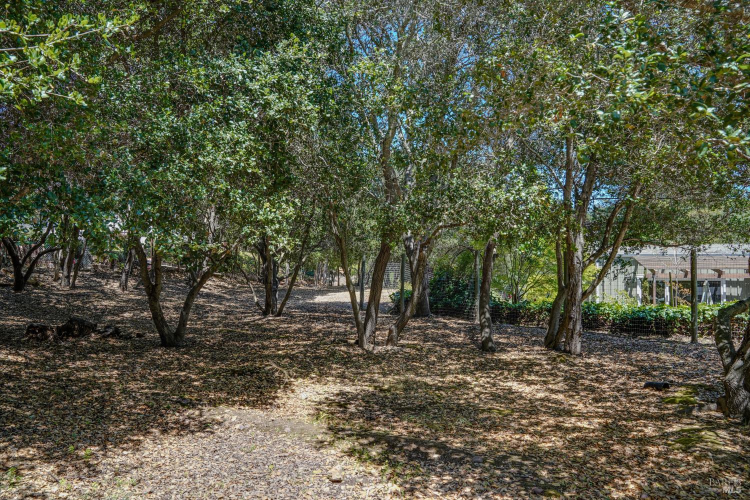3 Oak Grove Way Napa CA 94559